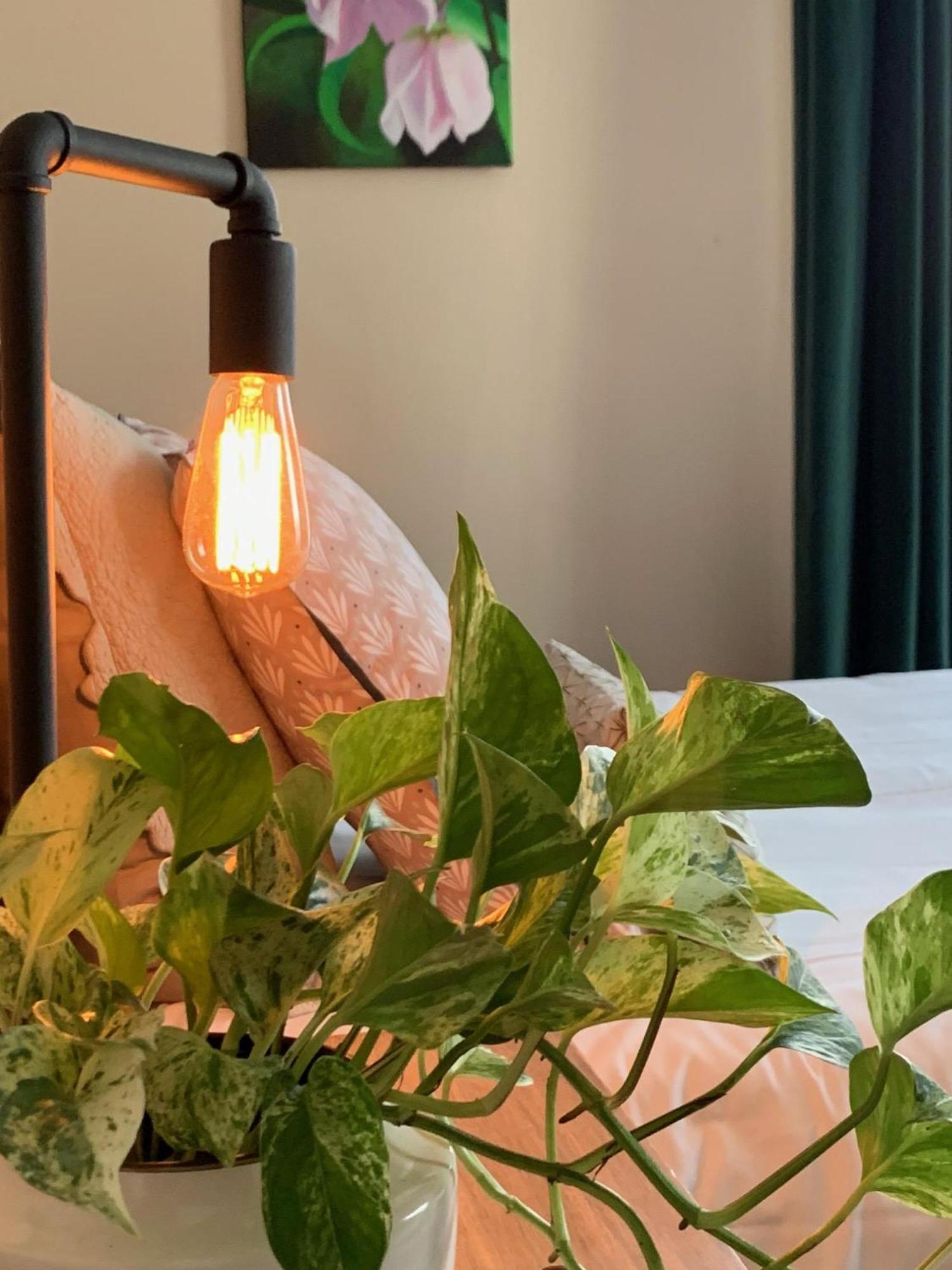 조셀린 Le 14 St Michel B&B 객실 사진
